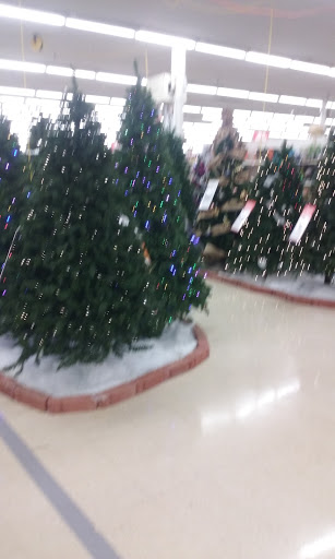 Discount Store «Kmart», reviews and photos, 41601 Garfield Rd, Charter Twp of Clinton, MI 48038, USA