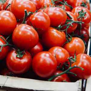 Grocery Store «Whole Foods Market», reviews and photos, 50 Shelter Cove Ln, Hilton Head Island, SC 29928, USA