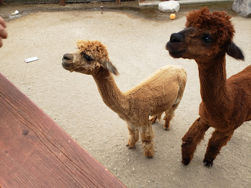 Zoo «Red River Zoo», reviews and photos, 4255 23rd Ave S, Fargo, ND 58104, USA