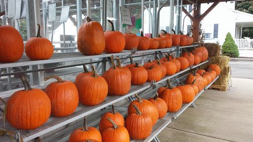 Produce Market «E Draghi & Son Farm Stand», reviews and photos, 86 Main St, South Glastonbury, CT 06073, USA