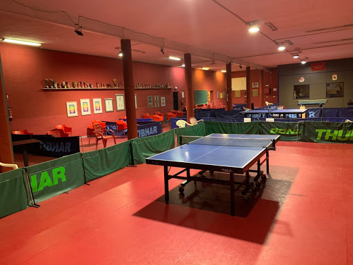 Centro Municipal De Tecnificación De Tenis De Mesa Francisco Martin Colmenero en El Álamo, Madrid