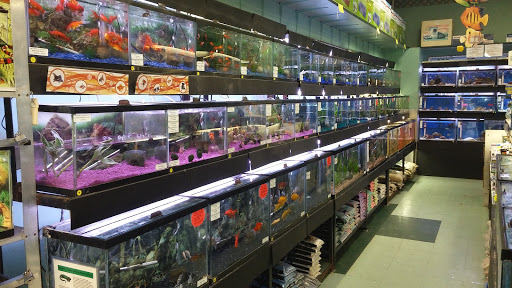 Pet Store «Petland Discounts - Union City», reviews and photos, 3147 John F. Kennedy Blvd, North Bergen, NJ 07047, USA