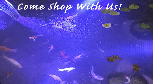 Cedar Creek Farms LLC (Koi Farm)