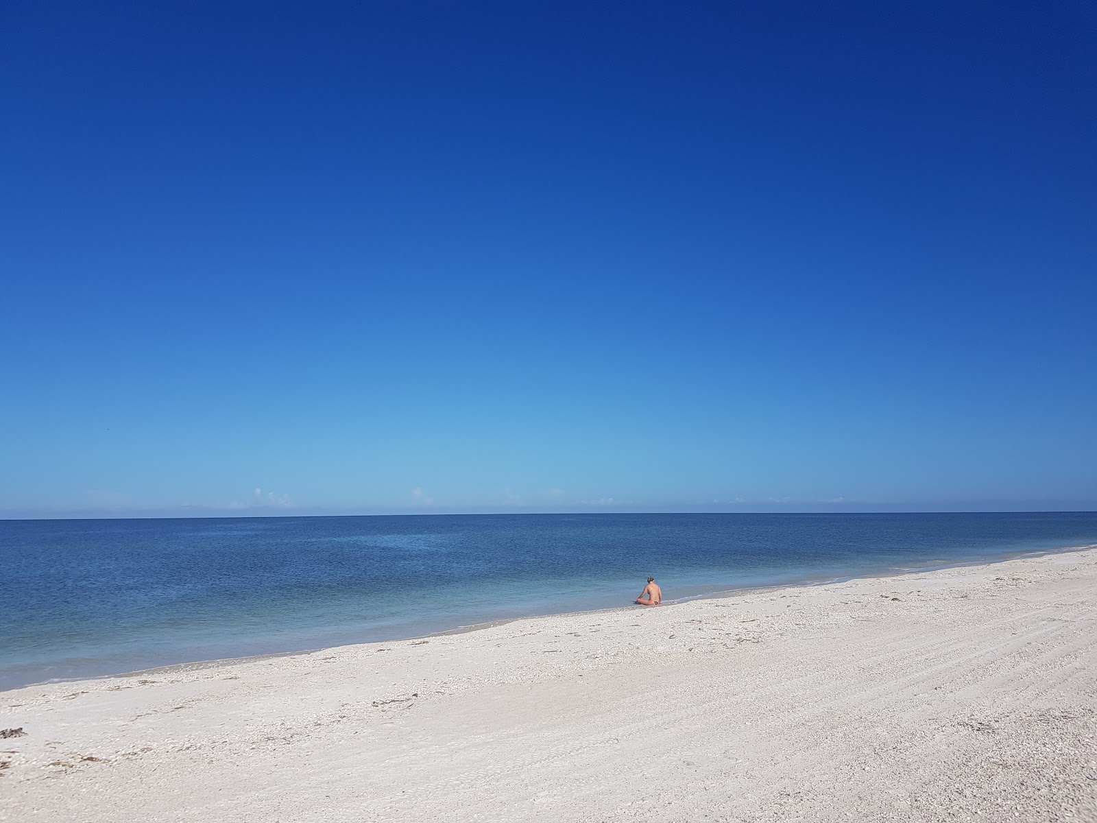 Photo of Turtle beach with white sand surface