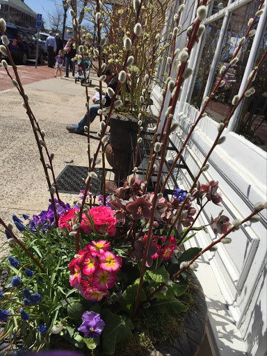 Florist «Earth Garden», reviews and photos, 89 Elm St, New Canaan, CT 06840, USA