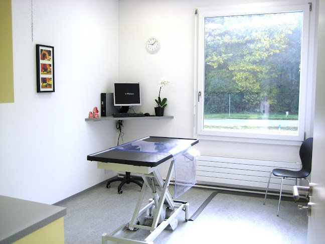 Opinii despre Kleintierpraxis 4 Pfoten, Hilfiker-Jud Franziska, Dr. med. vet. în Zug - Tierarzt