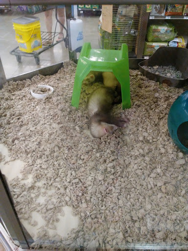 Pet Supply Store «Petco Animal Supplies», reviews and photos, 190 Quality Dr, Hooksett, NH 03106, USA