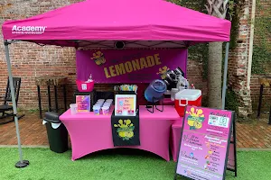 Maddi's Lemonade Stand image