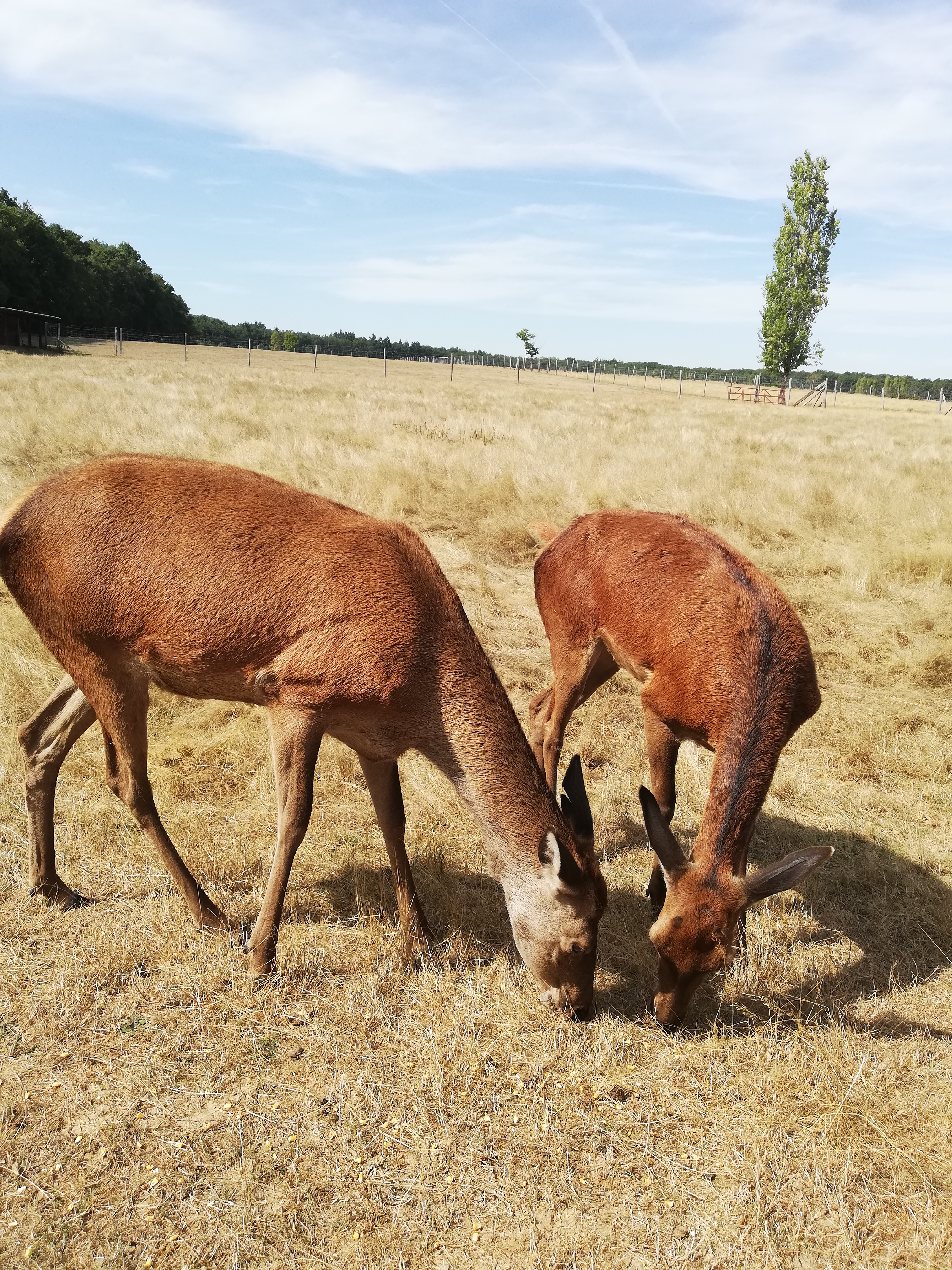 Photo n° 12 de l'avis de Severine.e fait le 23/08/2019 à 23:18