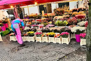 Janskerkhof Bloemenmarkt image