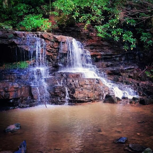 Park «Bays Mountain Park & Planetarium», reviews and photos, 853 Bays Mountain Rd, Kingsport, TN 37660, USA