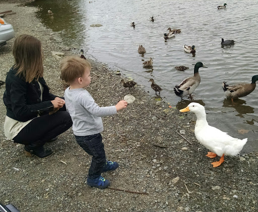 Park «Ferguson Park», reviews and photos, 1330 Ferguson Park Rd, Snohomish, WA 98290, USA