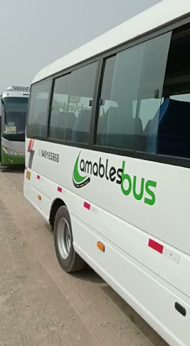 Comentarios y opiniones de Transportes Amables Bus