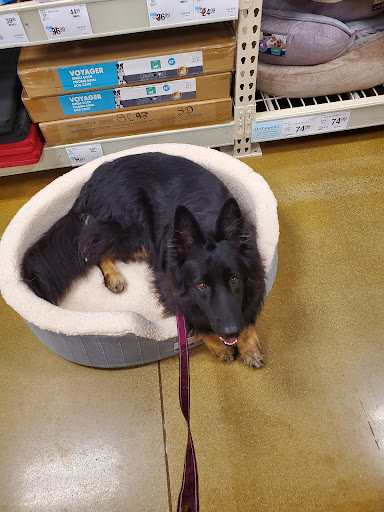 Pet Supply Store «PetSmart», reviews and photos, 3210 E Lynn Blvd, Sterling, IL 61081, USA