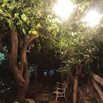 Photo n°14 de l'avis de Stefania. fait le 12/11/2023 à 00:32 sur le  Farmhouse La Grotta à Corbara