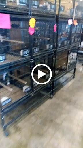 Pet Store «Miles of Exotics», reviews and photos, 8350 N Broadway, Kansas City, MO 64118, USA