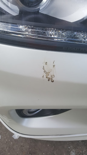 Car Wash «THE OASIS HAND CAR WASH & DETAIL CENTER», reviews and photos, 930 Malone St, Houston, TX 77007, USA