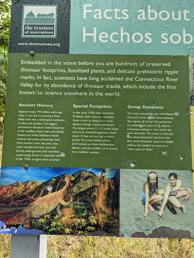 Tourist Attraction «Dinosaur Footprints», reviews and photos, US-5, Holyoke, MA 01040, USA