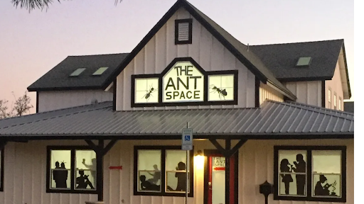 The Ant Space CoWorking in Sparks, Nevada