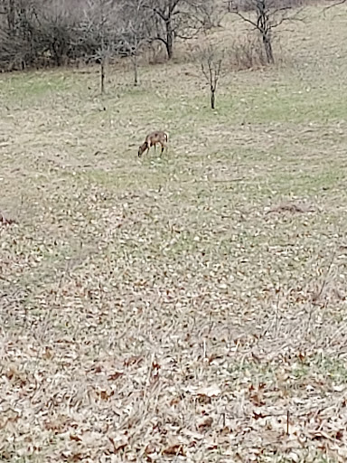 Nature Preserve «Asylum Lake Preserve», reviews and photos, 3836 S Drake Rd, Kalamazoo, MI 49008, USA