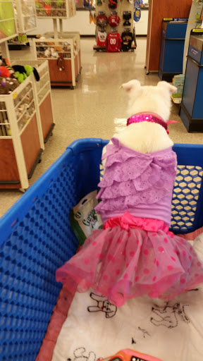 Pet Supply Store «PetSmart», reviews and photos, 3220 W Shaw Ave, Fresno, CA 93711, USA