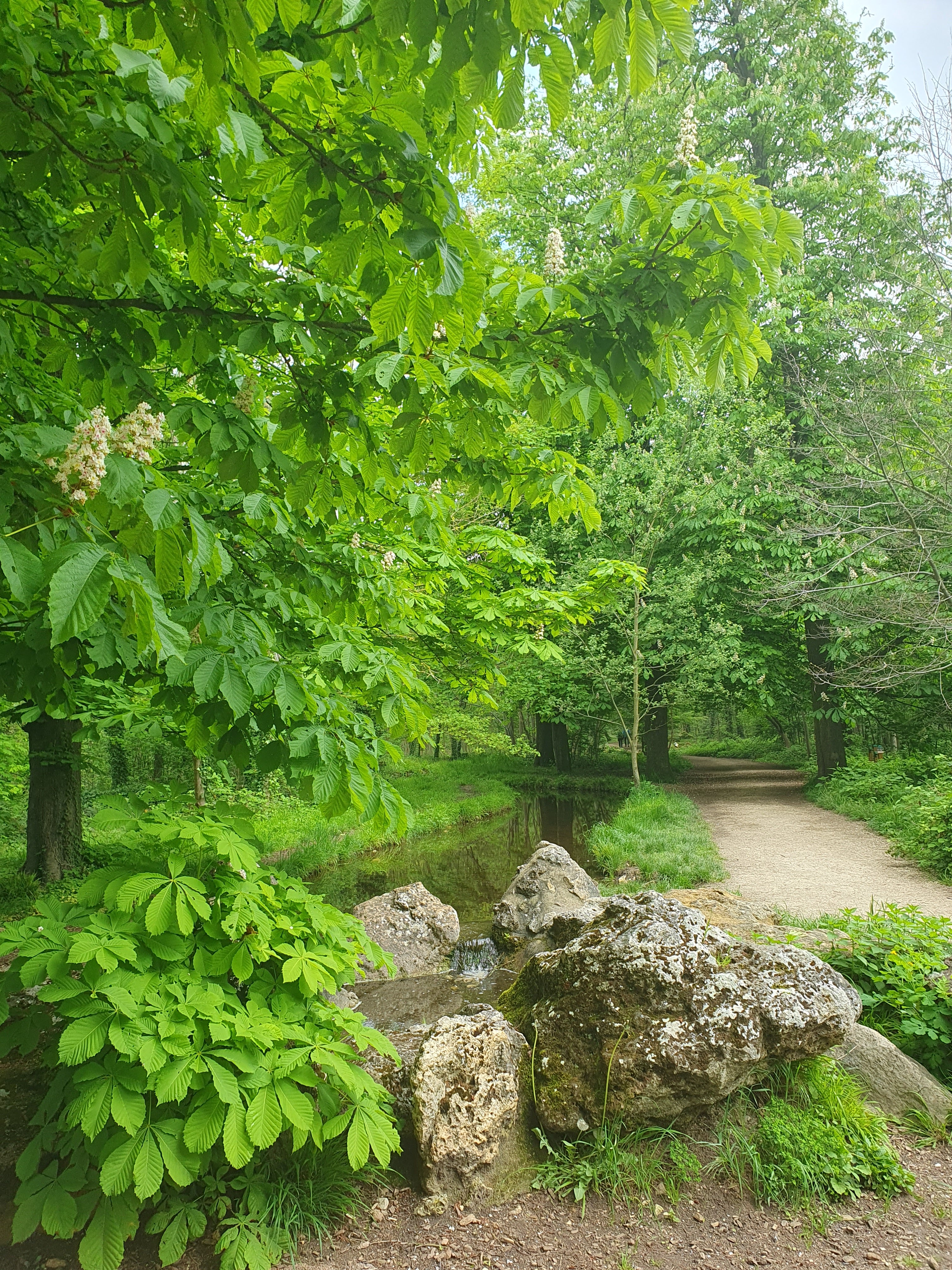 Photo n° 1 de l'avis de Nathalie.. fait le 30/05/2023 à 05:50