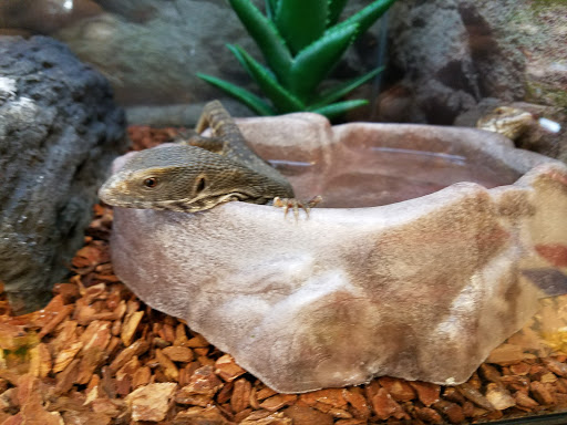 Pet Supply Store «Petco Animal Supplies», reviews and photos, 2765 Santa Rosa Ave, Santa Rosa, CA 95407, USA