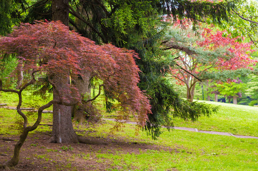 Dog Park «Brookdale Dog Park», reviews and photos, W Circuit Dr, Montclair, NJ 07043, USA