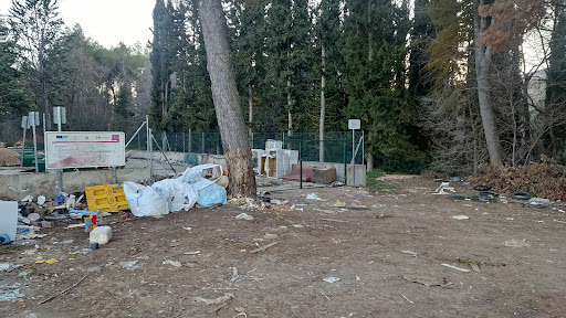 Supuesto punto limpio