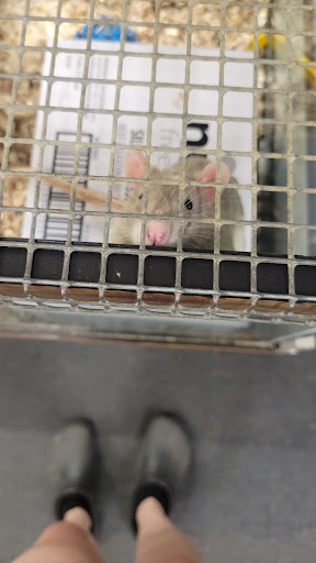 Pet Supply Store «Pet Loft», reviews and photos, 6333 SW Macadam Ave #104, Portland, OR 97239, USA