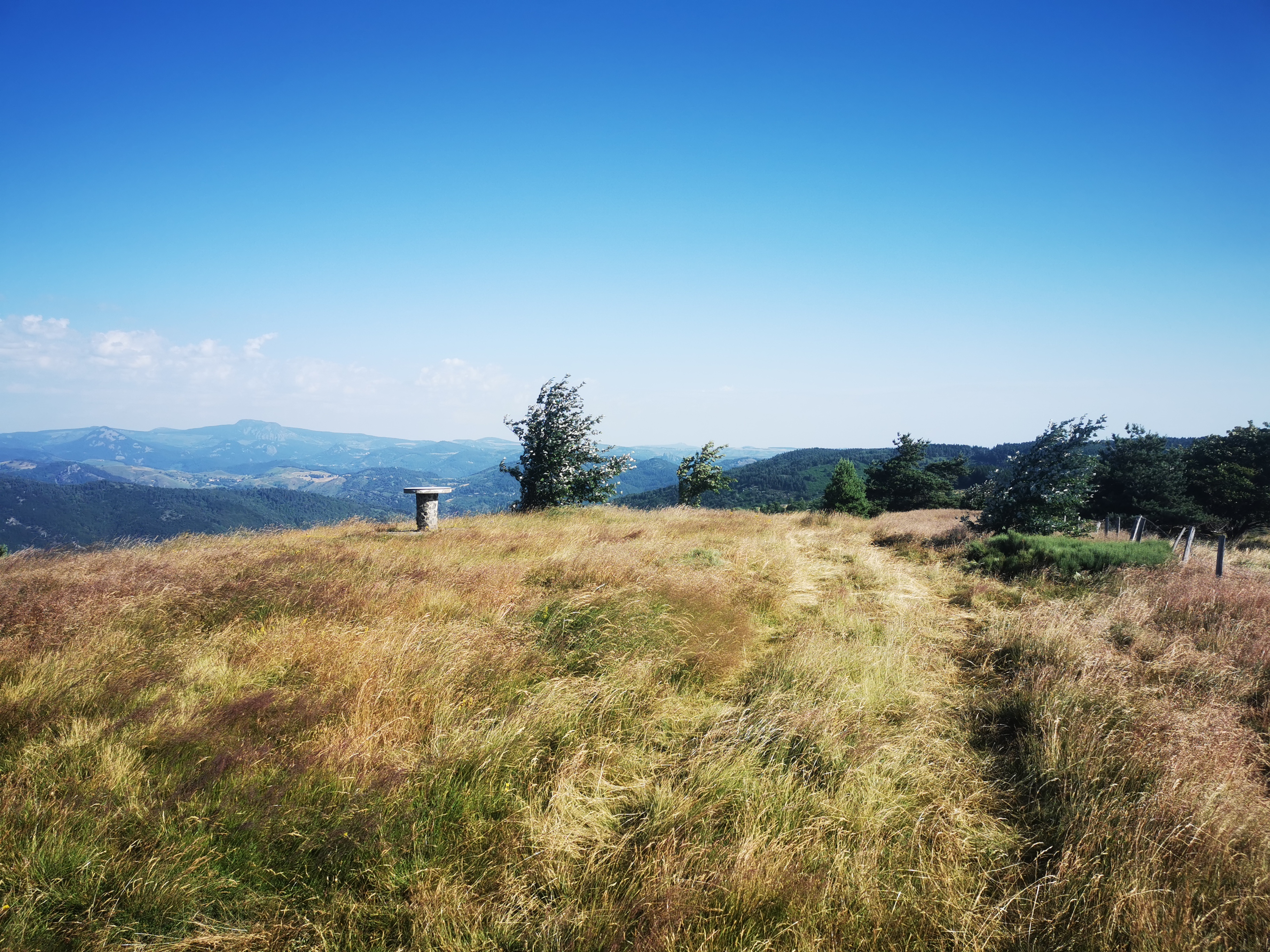 Photo n° 44 de l'avis de Seb. fait le 14/07/2023 à 04:55