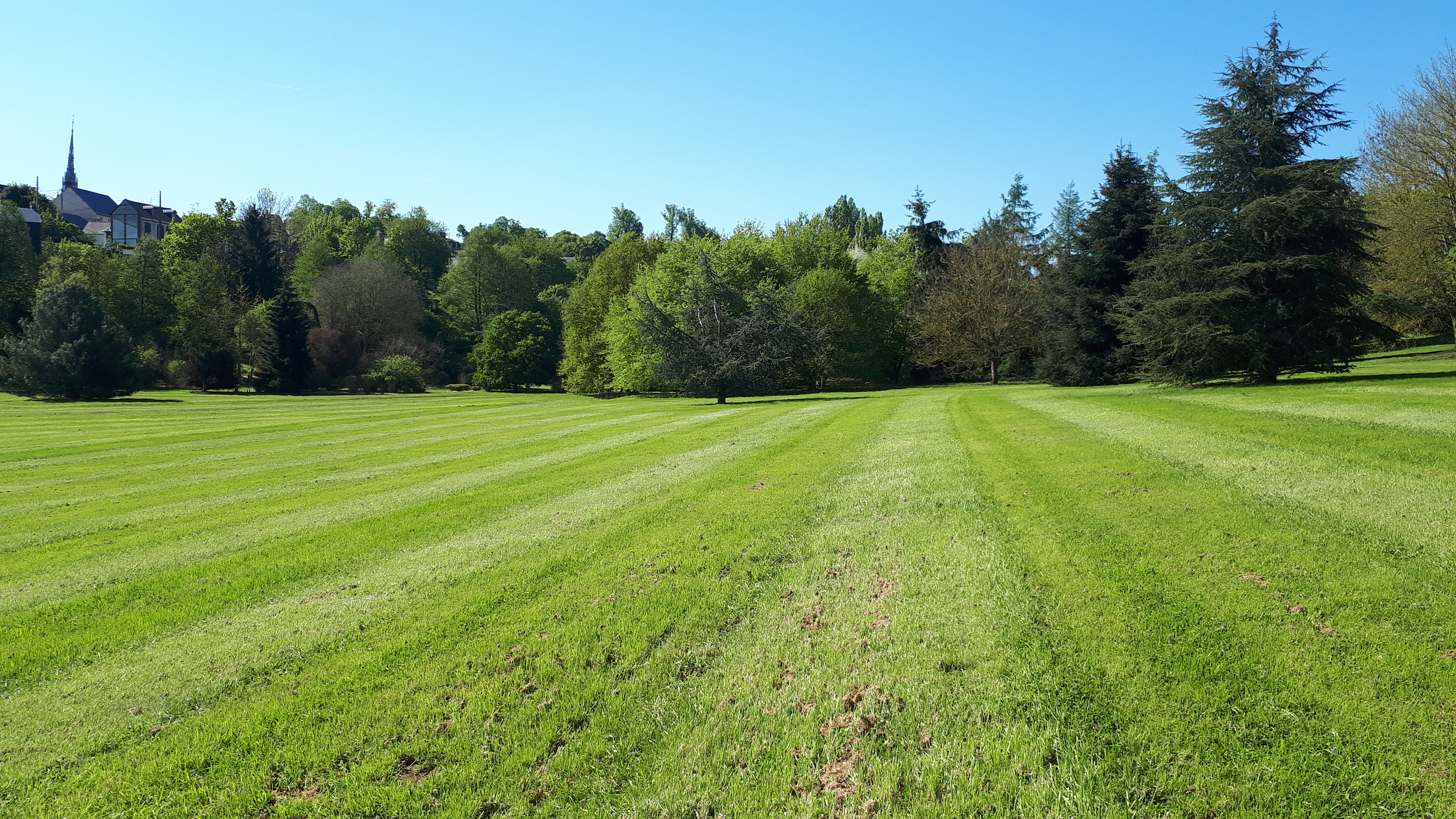 Photo n° 13 de l'avis de Frederic.e fait le 12/05/2019 à 10:55
