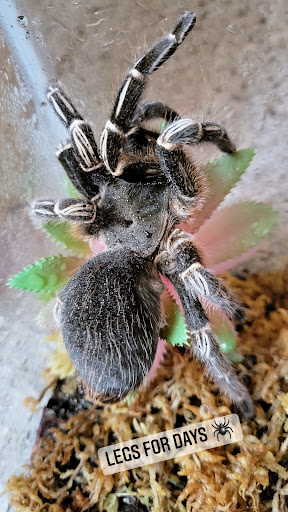 Pet Supply Store «Pet Bazaar», reviews and photos, 490 FL-436, Casselberry, FL 32707, USA