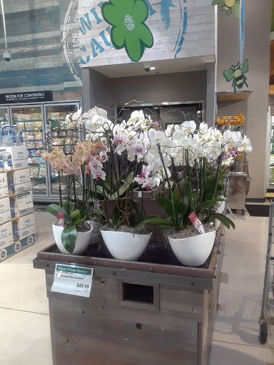 Grocery Store «Whole Foods Market», reviews and photos, 2000 N Federal Hwy, Fort Lauderdale, FL 33305, USA