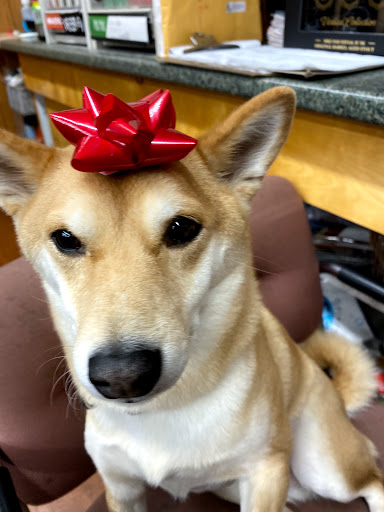 Bar «Colesville Beer & Wine», reviews and photos, 13468 New Hampshire Ave, Silver Spring, MD 20904, USA