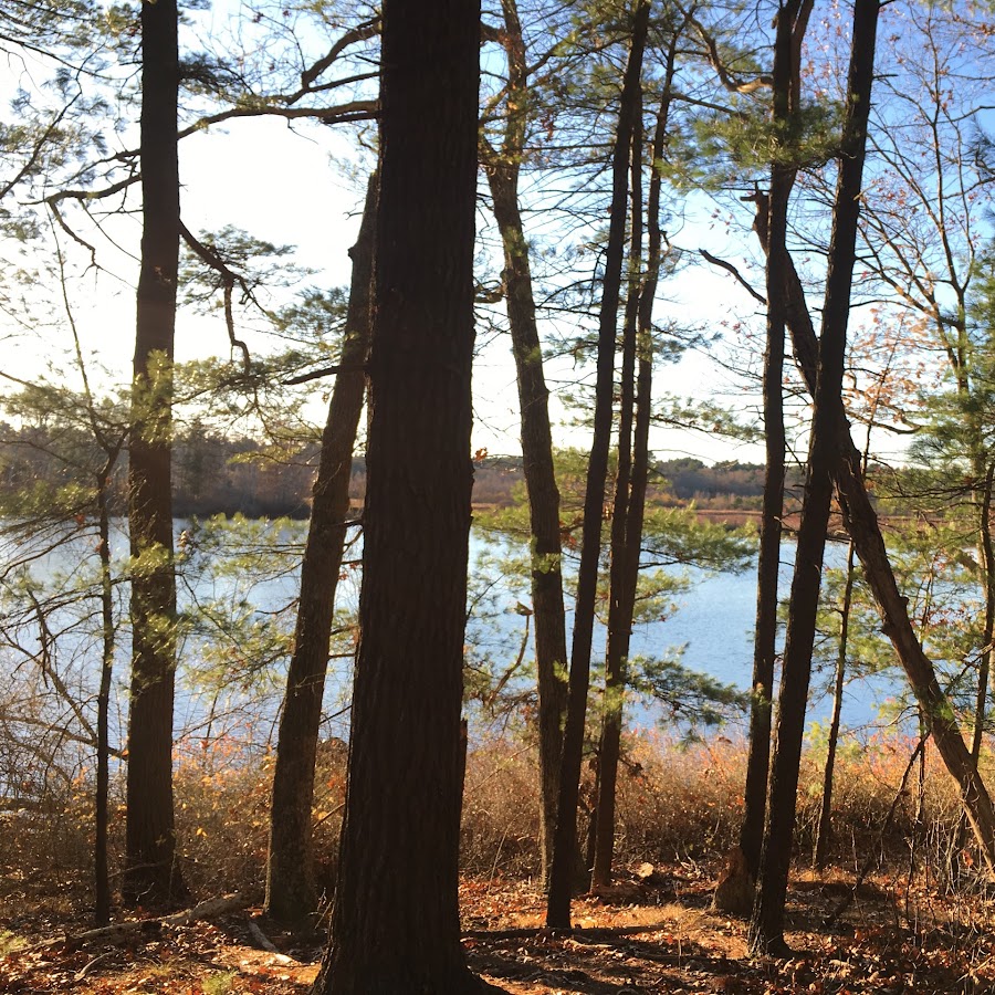 Mass Audubon's North Hill Marsh Wildlife Sanctuary