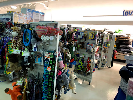 Shopping Mall «Twin City Plaza», reviews and photos, 14 McGrath Hwy, Somerville, MA 02143, USA