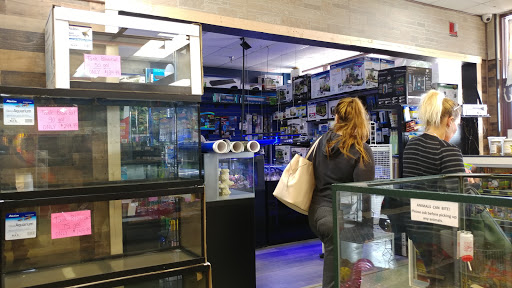 Pet Store «A Family Pet Center», reviews and photos, 6230 N Lockwood Ridge Rd, Sarasota, FL 34243, USA