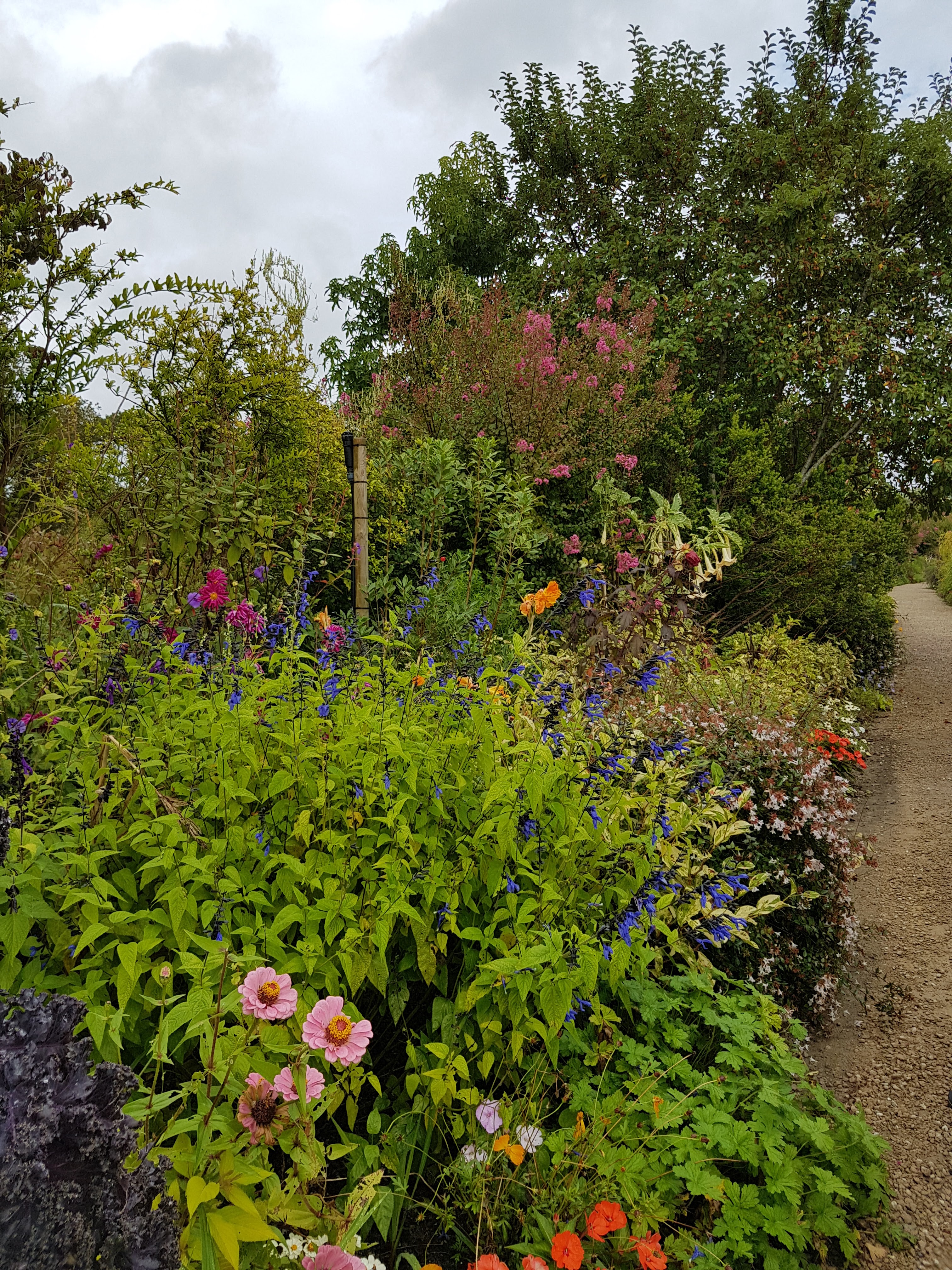 Photo n° 5 de l'avis de faval.e fait le 04/09/2019 à 12:53