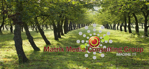 Matrix Media Consulting Group