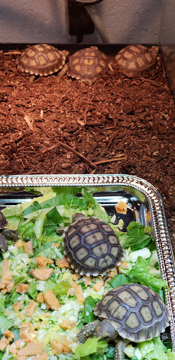 Pet Supply Store «Pet Den», reviews and photos, 1209 Nederland Ave, Nederland, TX 77627, USA