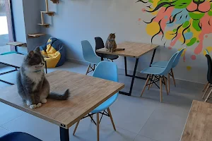 Cat Cafe "Мама-Кішка" 12+ image