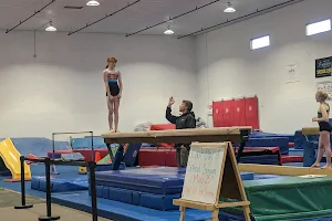 Rapid City Gymnastics Academy image