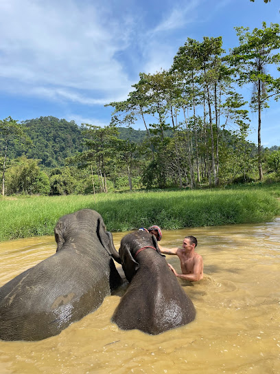Phuket - Phangnga Elephant Care Camp