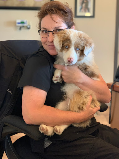 Pet Medical Center-Klamath Falls image