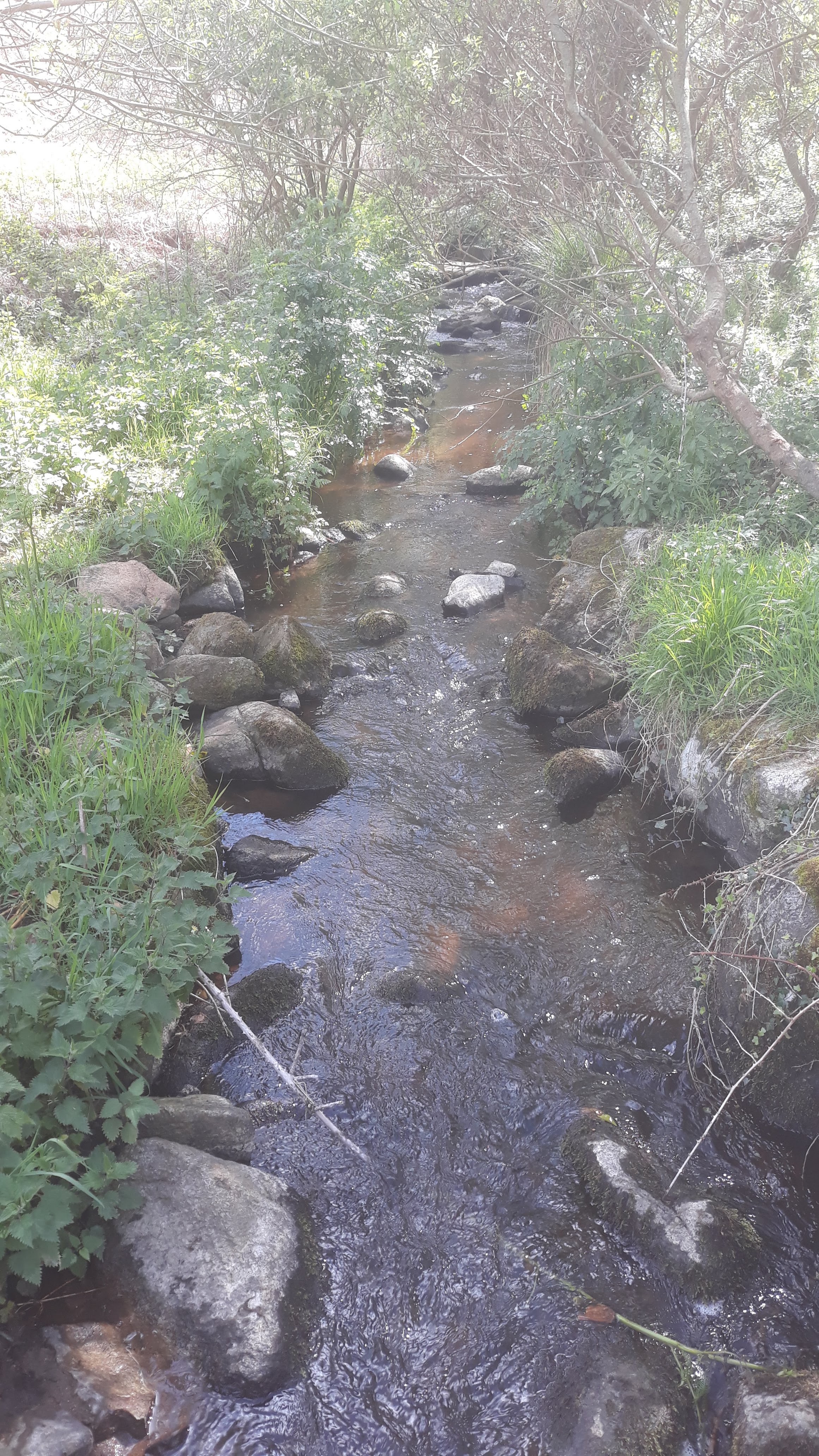 Photo n° 15 de l'avis de Cédric.l fait le 20/08/2018 à 22:40
