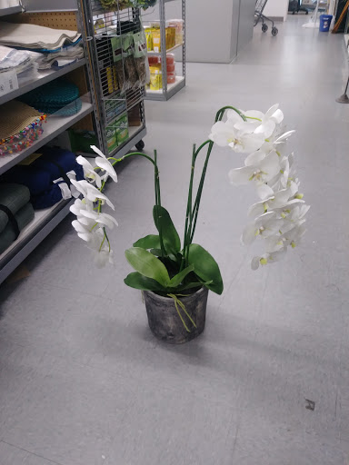 Home Goods Store «Tuesday Morning», reviews and photos, 44 Westgate Pkwy, Asheville, NC 28806, USA