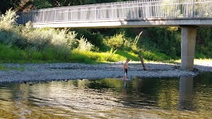 Five Mile Recreation Area - photo 33