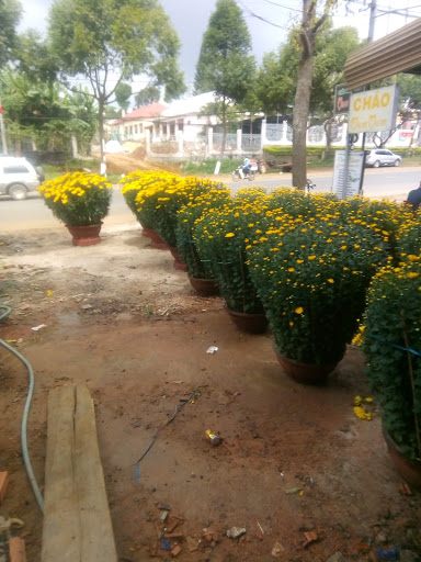 Top 14 cửa hàng vans tphcm Huyện Ea Kar Đắk Lắk 2022