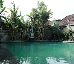 The Wayan House photo